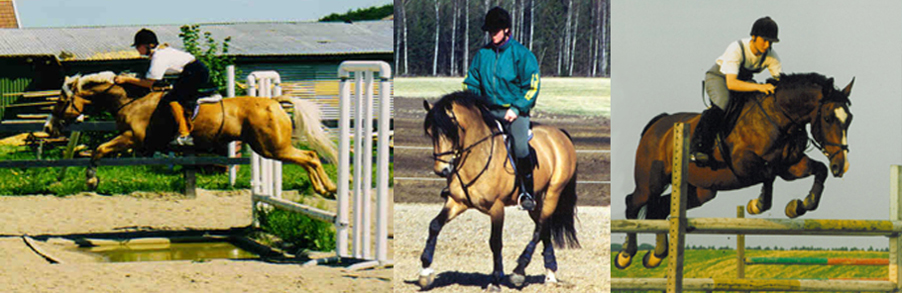 Goldie, Clintan och Aaron