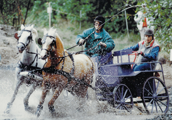 Nordiska 1989